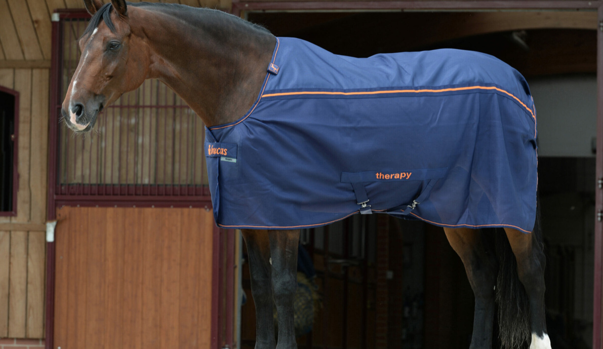 Bucasセラピー・メッシュクーラー